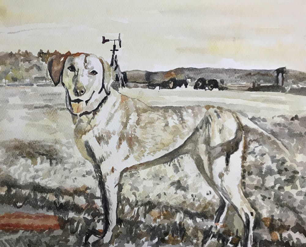 Artist-Rendered Painting