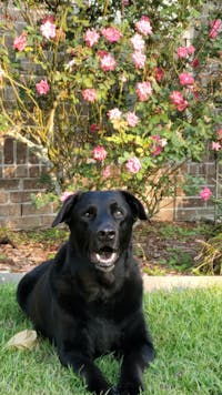 Original reference photo