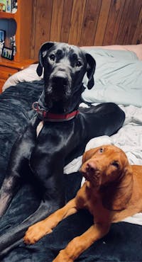 Original reference photo