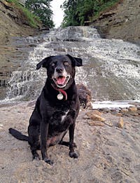 Original reference photo