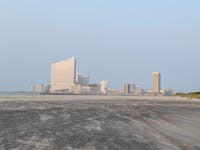 Original reference photo