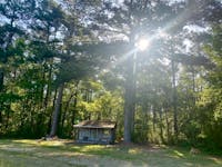 Original reference photo