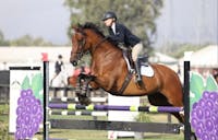 Original reference photo