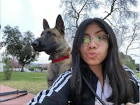 Original reference photo