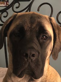 Original reference photo