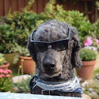 Original reference photo