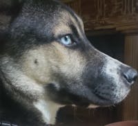 Original reference photo