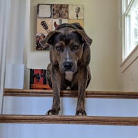 Original reference photo