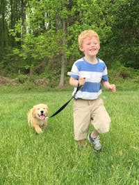 Original reference photo