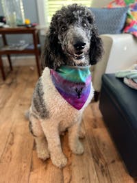 Original reference photo