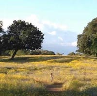 Original reference photo