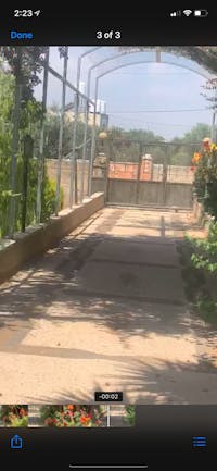 Original reference photo