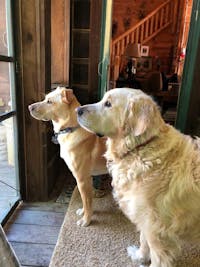 Original reference photo