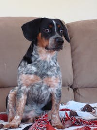 Original reference photo