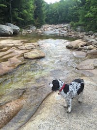 Original reference photo