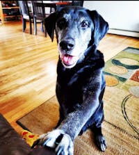 Original reference photo