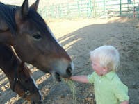 Original reference photo