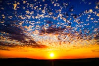 Original reference photo