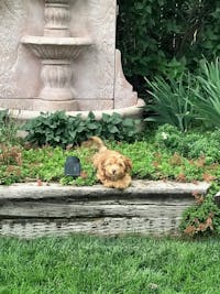 Original reference photo