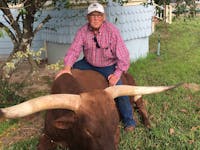 Original reference photo