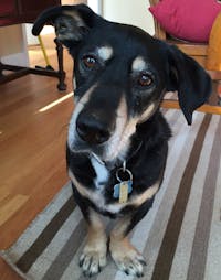 Original reference photo