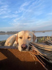 Original reference photo