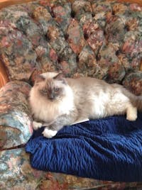 Original reference photo