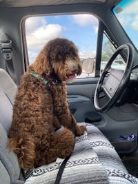 Original reference photo