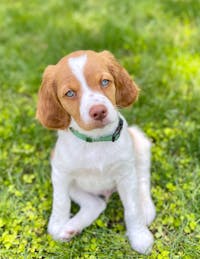 Original reference photo