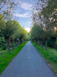 Original reference photo