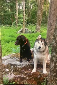 Original reference photo