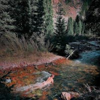 Original reference photo