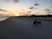 Original reference photo