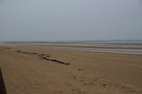 Original reference photo