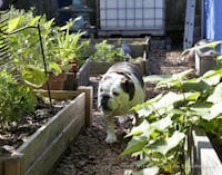 Original reference photo