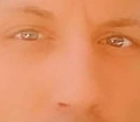 Original reference photo