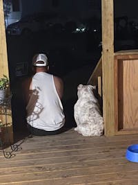 Original reference photo