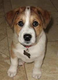 Original reference photo