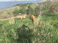 Original reference photo