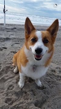 Original reference photo