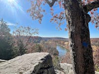 Original reference photo