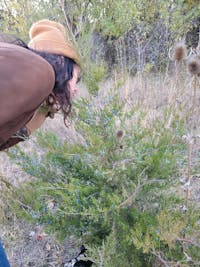 Original reference photo