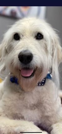 Original reference photo