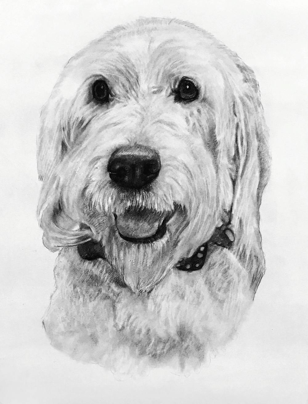 Artist-Rendered Painting