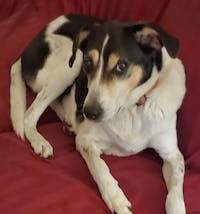 Original reference photo