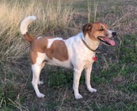 Original reference photo