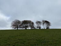 Original reference photo