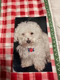 Original reference photo