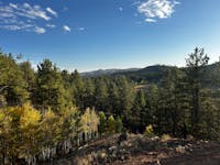 Original reference photo