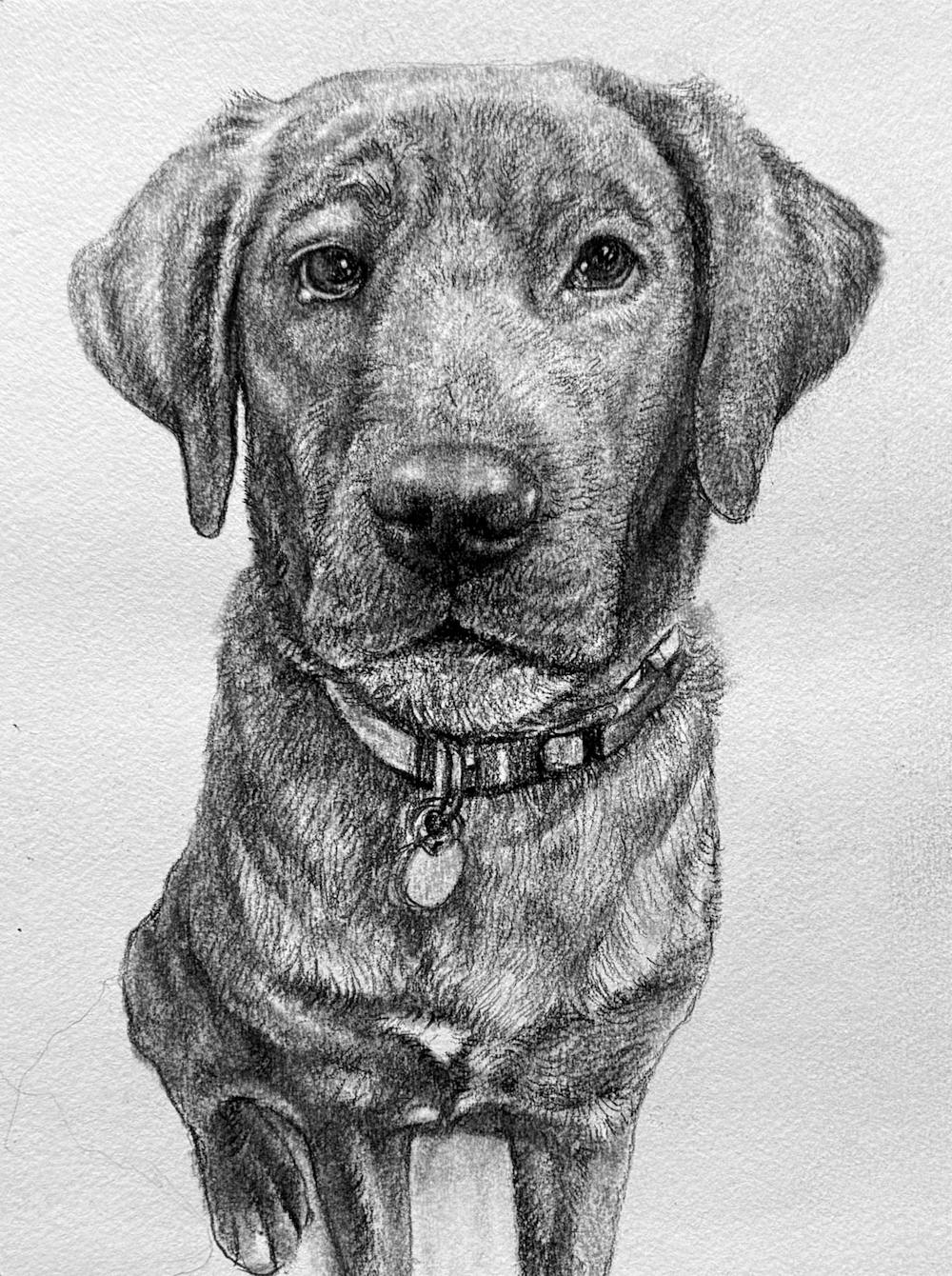 Artist-Rendered Painting